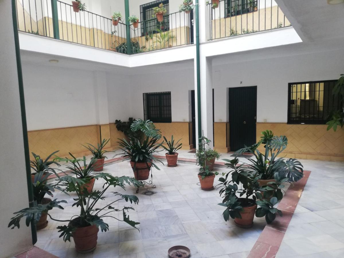 El Alcazar De Ana Appartement